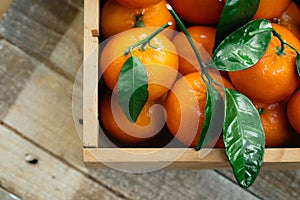 Tangerines oranges, clementines, citrus fruits with green leaves in a wooden box over light wooden background with copy space