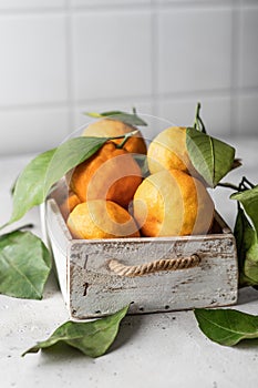 Tangerines (oranges, clementines, citrus fruits) with green leaves in wooden box on white kitchen tile