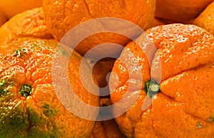 Tangerines oranges fruit close up, selective focus. Juicy mandarins, healthy citrus fruits