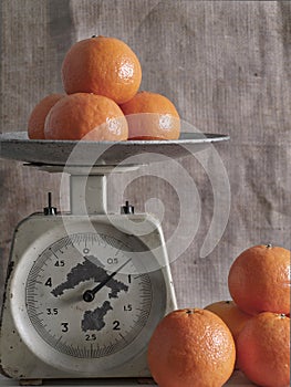 Tangerines on scales