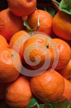 Tangerines with some green leaves