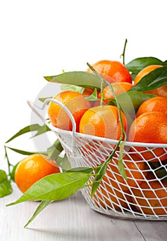 Tangerines on the table photo