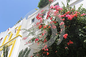 Tangier Kasbah Medina