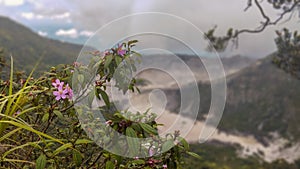 Tangkuban Perahu mountain peak during the day