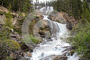 Tangle Falls, Icefields Parkway, Jasper National Park, Canada