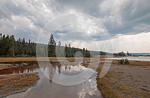 Tangled Creek emptying into Hot Lake hot spring in the Lower Geyser Basin in Yellowstone National Park in Wyoming USA