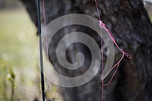 Tangled fishing cord on spinning. Tree on background