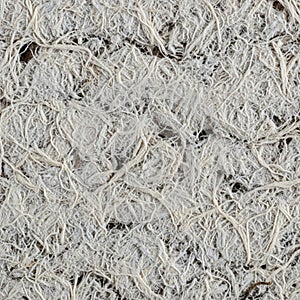 Tangled mass of light beige fibers creates a textured surface. The fibers are