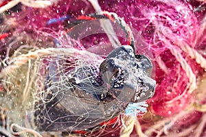 A tangled mess of fishing nets plastic rope and other debris washed up on a coastal beach
