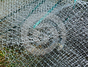 tangled nylon net with small holes and green strips. environmental protection concept