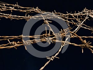 Tangled Old and Rusty Barbed Wire