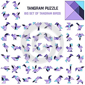 Tangram puzzle. Set of tangram different birds.