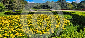 TanguÃ¡ Park in the city of Curitiba, Paran