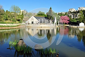 Tanical Gardens of Jerusalem