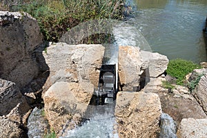 Taninim Stream Nature Reserve in Israel