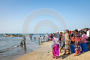 TANJI, THE GAMBIA - NOVEMBER 21, 2019: People carrying fish from the boats to the beach on Tanji, Gambia, West Africa