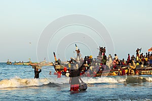 TANJI, THE GAMBIA - NOVEMBER 21, 2019: People carrying fish from the boats to the beach on Tanji, Gambia, West Africa