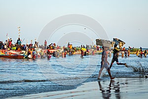 TANJI, THE GAMBIA - NOVEMBER 21, 2019: People carrying fish from the boats to the beach on Tanji, Gambia, West Africa