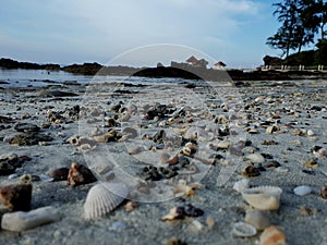 Tanjung Balau beach