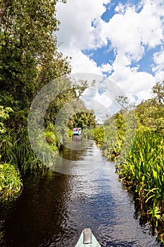 Tanjung Puting National Park, Borneo, Indonesia: peaceful navigation on the black water heading to Camp Leakey