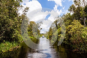 Tanjung Puting National Park, Borneo, Indonesia: the water of the river near Camp Leakey are of deep black color