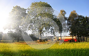 Tank with biofuel