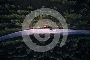 Tank truck on road through pine forest