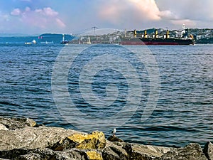 Tanker sailing on the Sea of â€‹â€‹Marmara to the Bosphorus against Istanbul cityscape in Turkey. A seagull stands on a stone