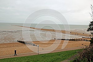 Tankerton Beach