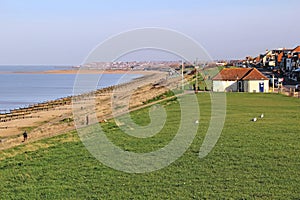 Tankerton slopes seaside coast