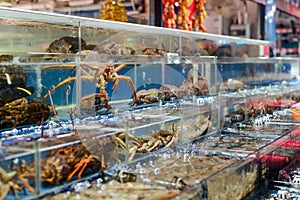 Tanks with fresh crabs. Diferrent types of seafood