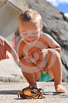 Tanned boy looks at the crab.