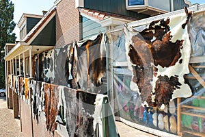 Tanned hides on the balcony of the leather shop in Volendam. Net photo