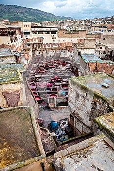 Tannery in Fes Morocco