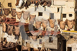 Tannery in Fes