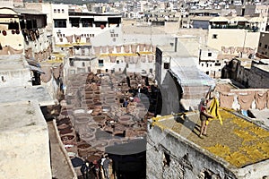 Tannery of Fez, Morocco
