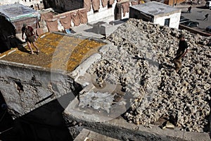 Tannery of Fez, Morocco