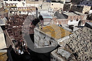 Tannery of Fez, Morocco