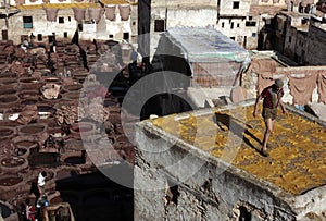 Tannery of Fez, Morocco