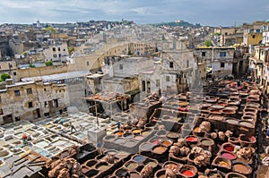 Tannery in Fez, Morocco photo