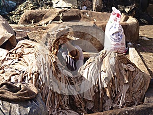 Tannery in Marrakech Morocco