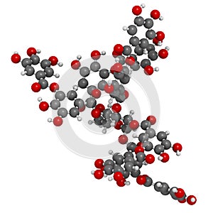 Tannic acid molecule one isomer shown. Type of tannin.