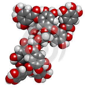 Tannic acid molecule one isomer shown. Type of tannin.