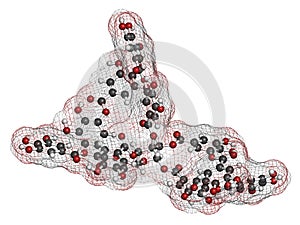 Tannic acid molecule one isomer shown. Type of tannin. photo