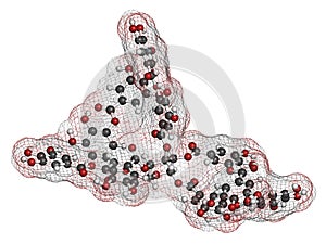 Tannic acid molecule one isomer shown. Type of tannin.