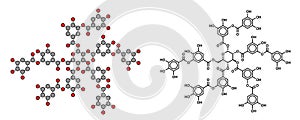 Tannic acid molecule (one isomer shown). Type of tannin