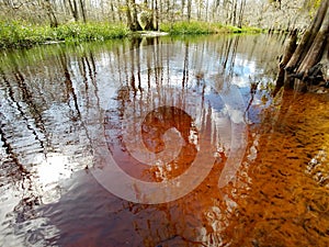 Tannin stained water of Fisheating Creek, Florida.