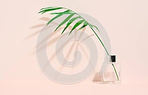 Tansparent glass vase and green palm leaf on a beige background