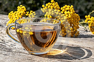 Tansy infusion in a glass cup on a wooden table. Tansy Herbal tea. Healing herbs