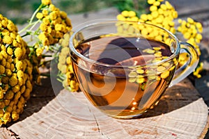 Tansy infusion in a glass cup and yellow tansy flowers on a wooden table. Tansy Herbal tea. Healing herbs